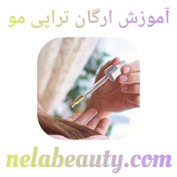 آموزش ارگان تراپی مو